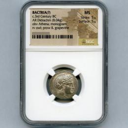 バクトリア王国 ドラクマ銀貨 c.3rd Century BC NGC MS 5/5 5/5